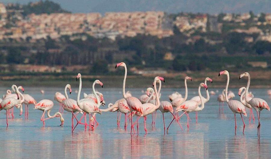 Апартаменты В Парковой Зоне С Видом На Море La Mata  Ngoại thất bức ảnh